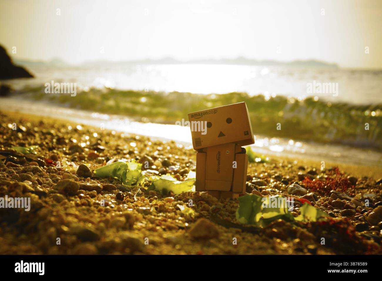 Danbo. Lieu de tournage : zone métropolitaine de Tokyo Banque D'Images