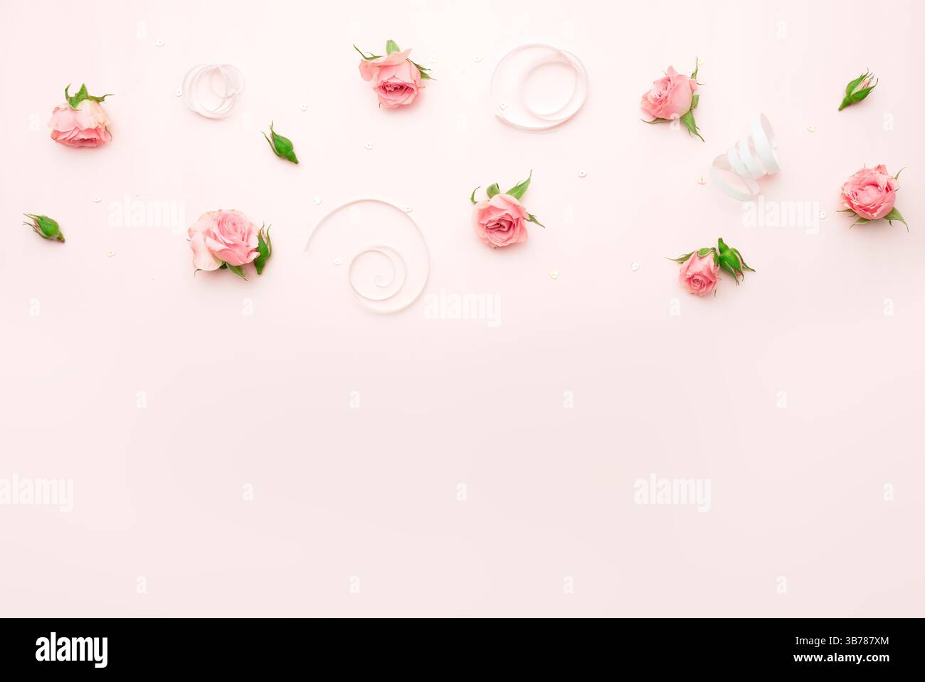 Boutons de roses sur fond rose doux, frontière de jour des femmes, toile de fond de fête des mères, cadre floral naturel. Papier peint délicat romantique. Décor de mariage. Banque D'Images