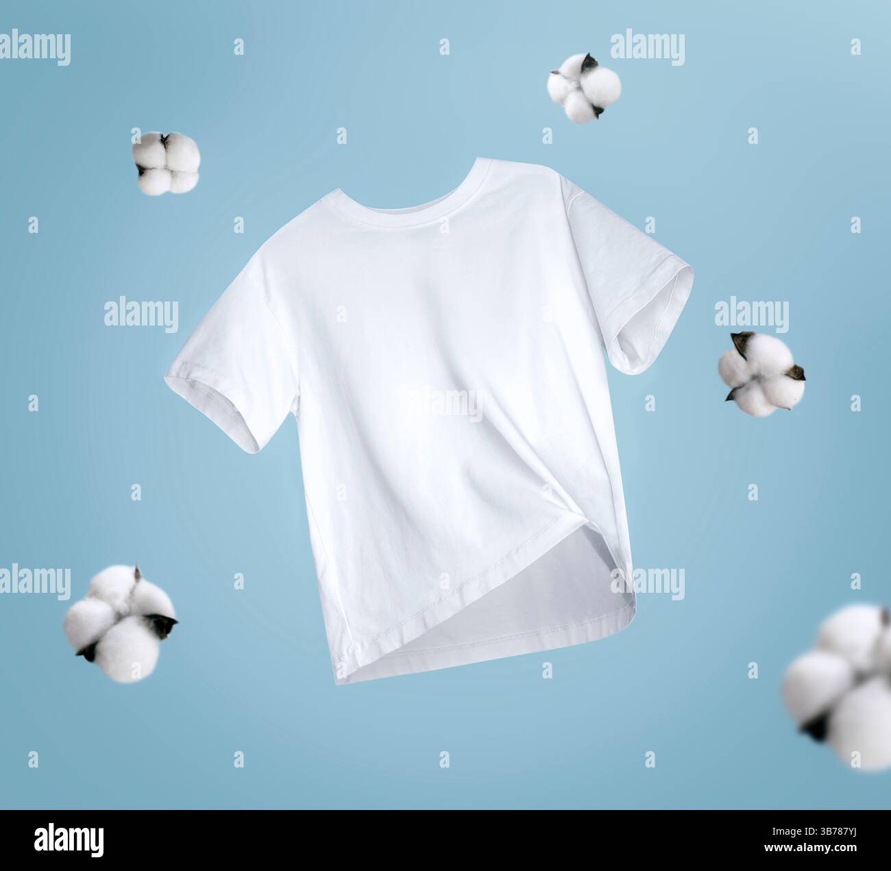 T-shirt blanc sur fond bleu décoré avec fleur de coton. ECO, tissu organique. Vêtements de concept de haute qualité. Vêtements mobiles. Banque D'Images