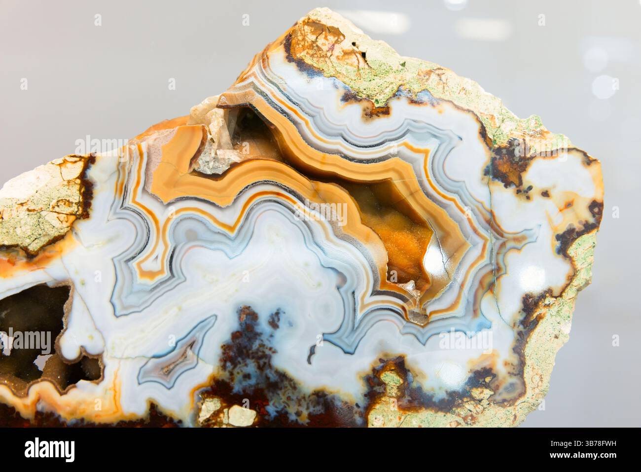 Spécimen minéral d'agate en bandes présentant des couches complexes orange, blanches et brunes. La surface parfaitement polie révèle des motifs naturels étonnants Banque D'Images