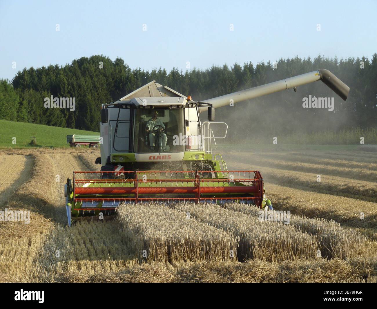 Champ de récolte champ grain d'été grain blé seigle machine moissonneuse-batteuse agriculteur nourriture manger farine travail nature plante saison Banque D'Images