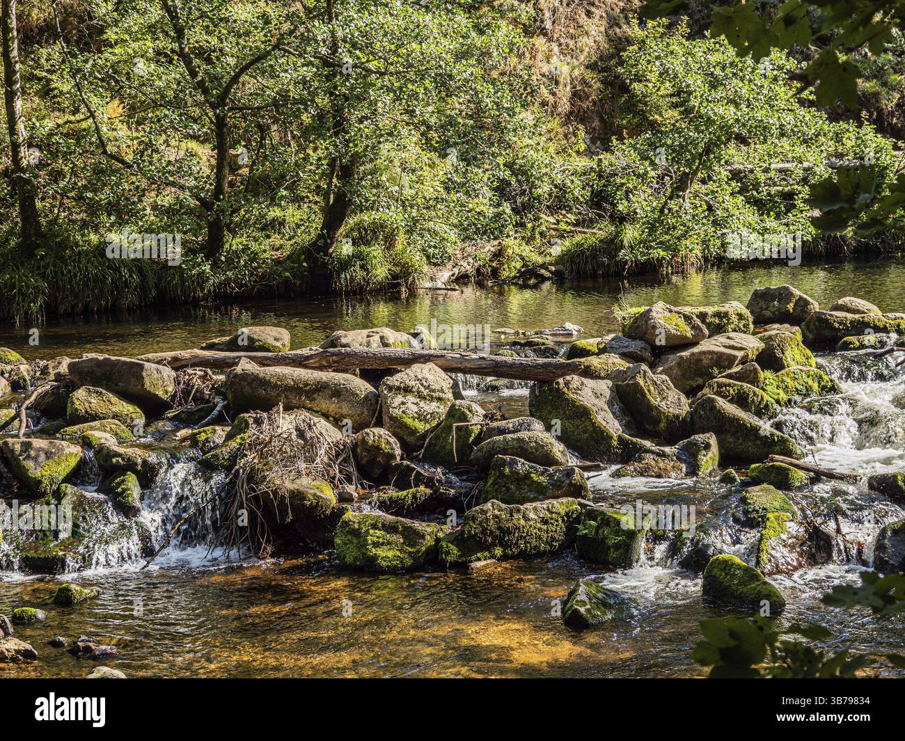 Fingle Bridge est une vallée pittoresque sur la rivière Teign Sur Dartmoor Banque D'Images