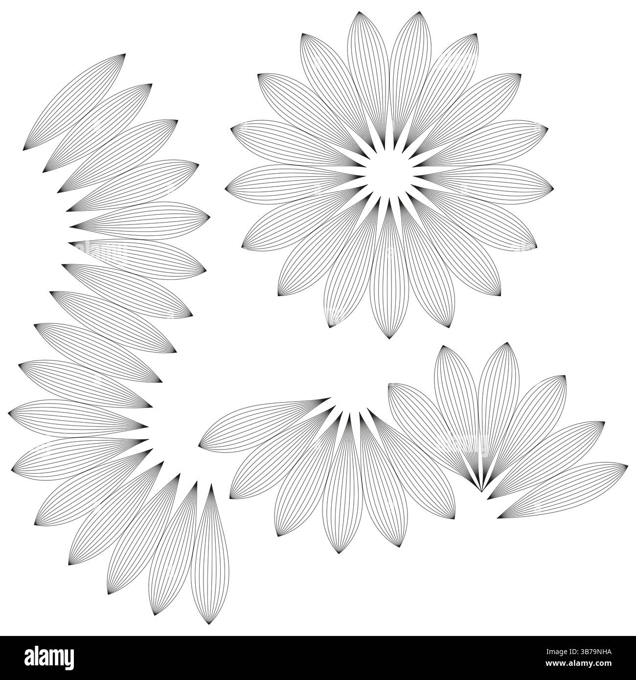 Formes de fleurs délimitées. Vecteur de forme pétale. Symétrie de fond blanc. Icône de fleur décorative. Illustration de Vecteur