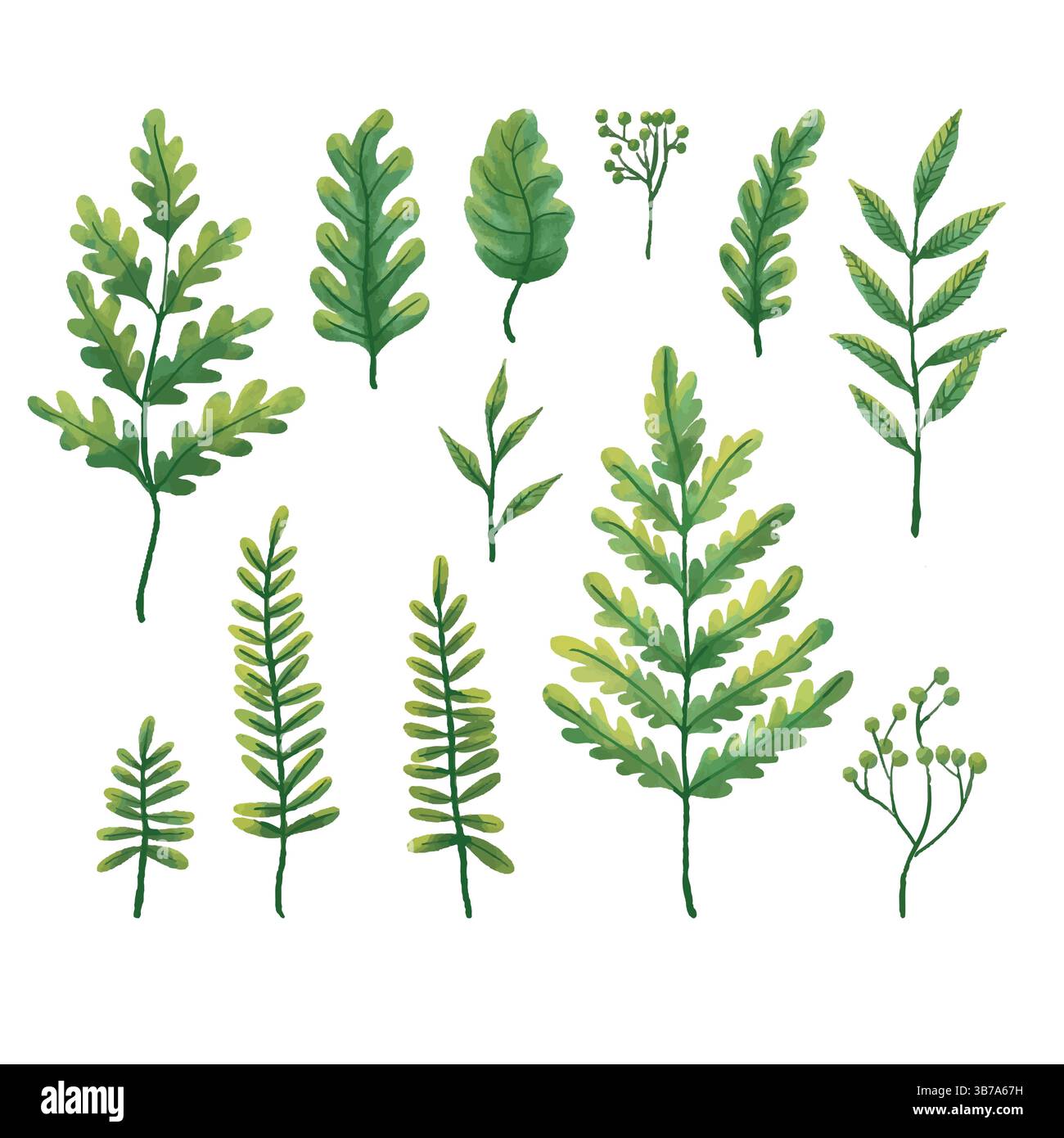 Collection de plantes de feuilles de verdure présentant des herbes de forêt tropicale dans le style aquarelle Illustration de Vecteur