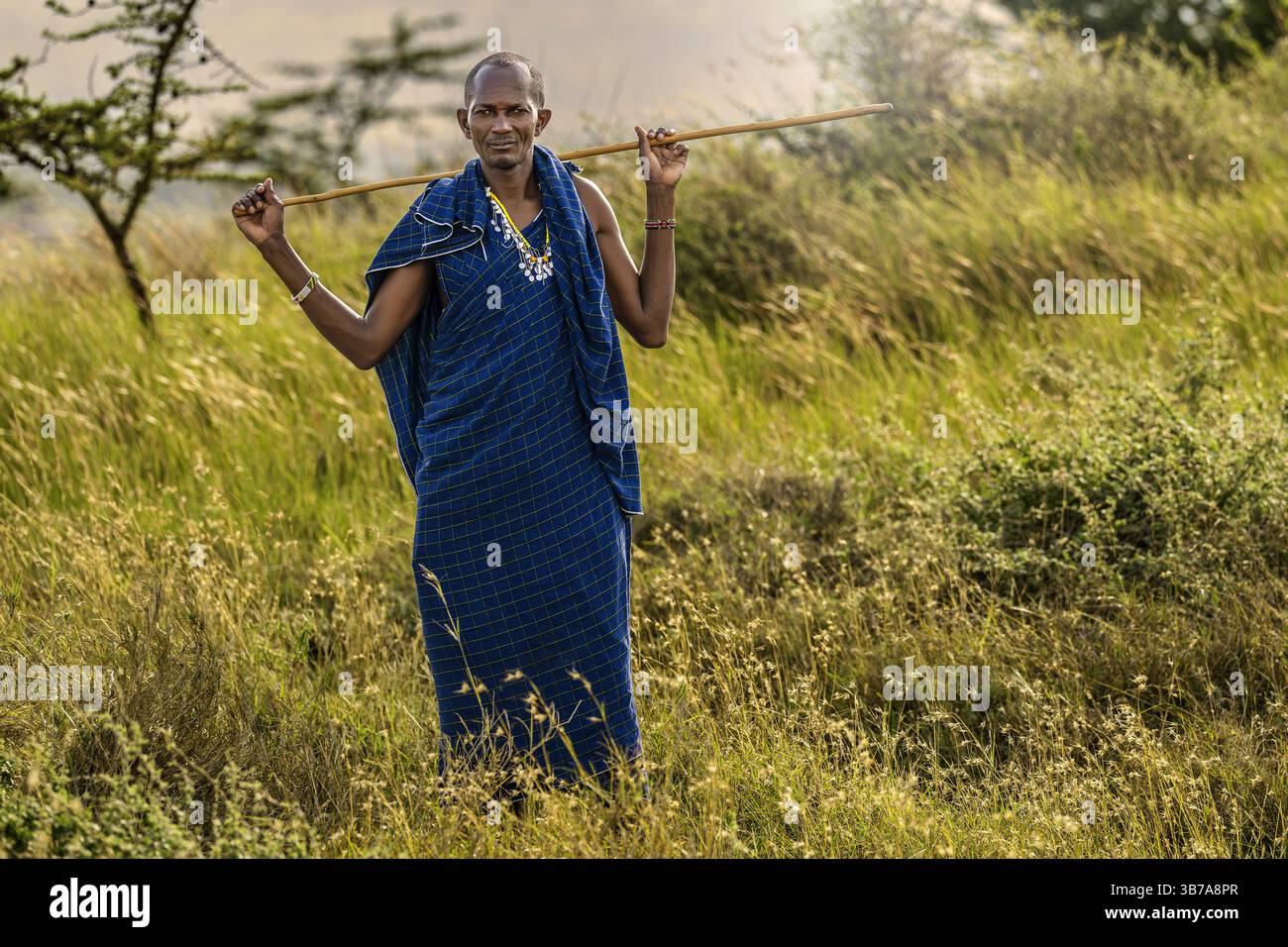 Portrait d'un Massaï dans le paysage, Tanzanie, Afrique de l'est, Afrique Banque D'Images Portrait d'un Massaï dans le paysage, Tanzanie, Afrique de l'est, Afrique Banque D'Images