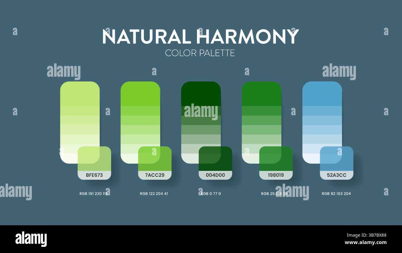 Guide de palette de couleurs dans les collections de thèmes de couleurs Natural Harmony. Inspiration de couleur ou graphique avec modèle de codes. Combinaison de couleurs RVB. Nuance de couleurs Illustration de Vecteur