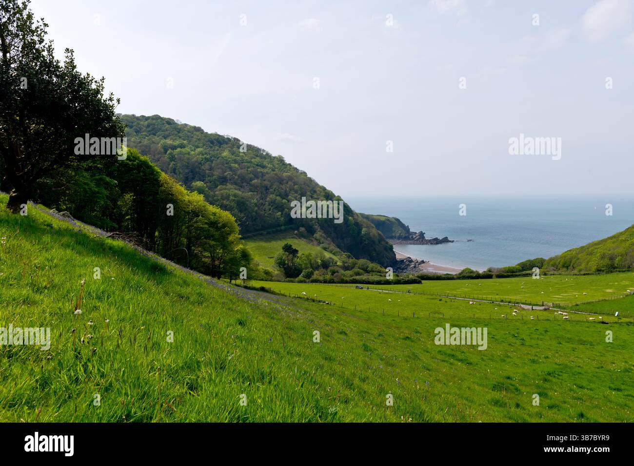 Valley of the Rocks près de Lynton, North Devon, Angleterre Banque D'Images