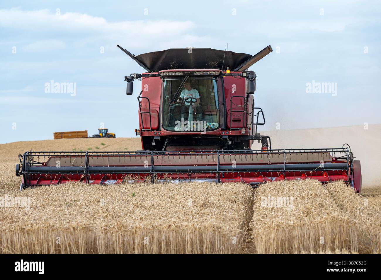 Récolte de céréales Bawdsey Suffolk Banque D'Images