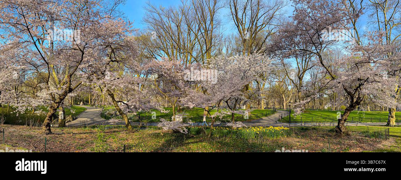 Le printemps à Central Park, New York City Banque D'Images
