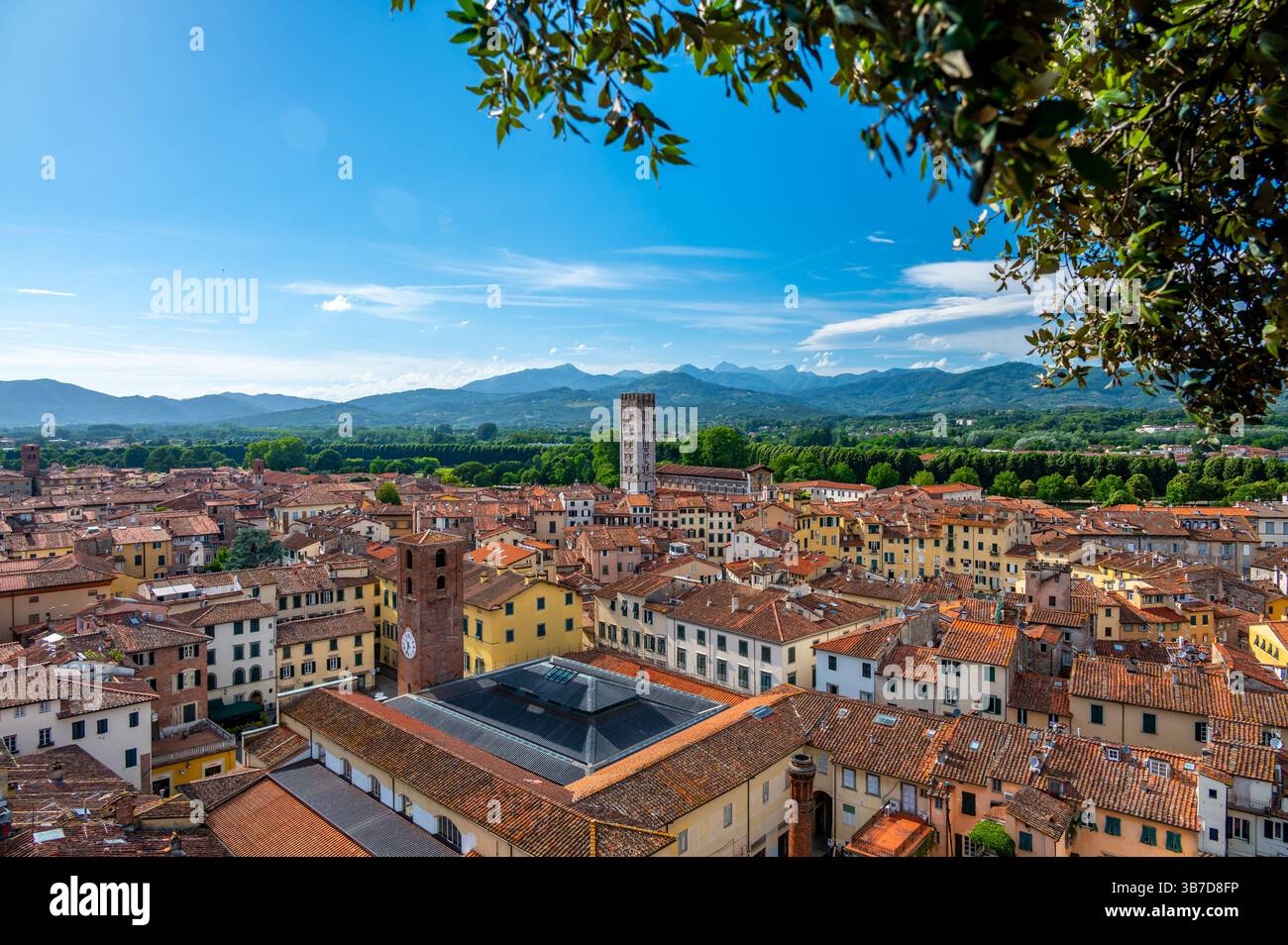 Vue panoramique de Lucques, Italie, avec des toits en briques rouges et des églises historiques vues d'en haut. Les collines et les montagnes toscanes forment un magnifique arrière-plan estival Banque D'Images