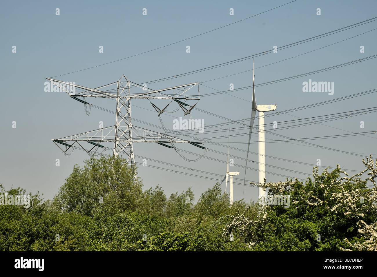 Les éoliennes à proximité des lignes électriques à haute tension en Zélande, aux pays-Bas, mettent en lumière les améliorations du réseau pour la transition énergétique néerlandaise. Banque D'Images