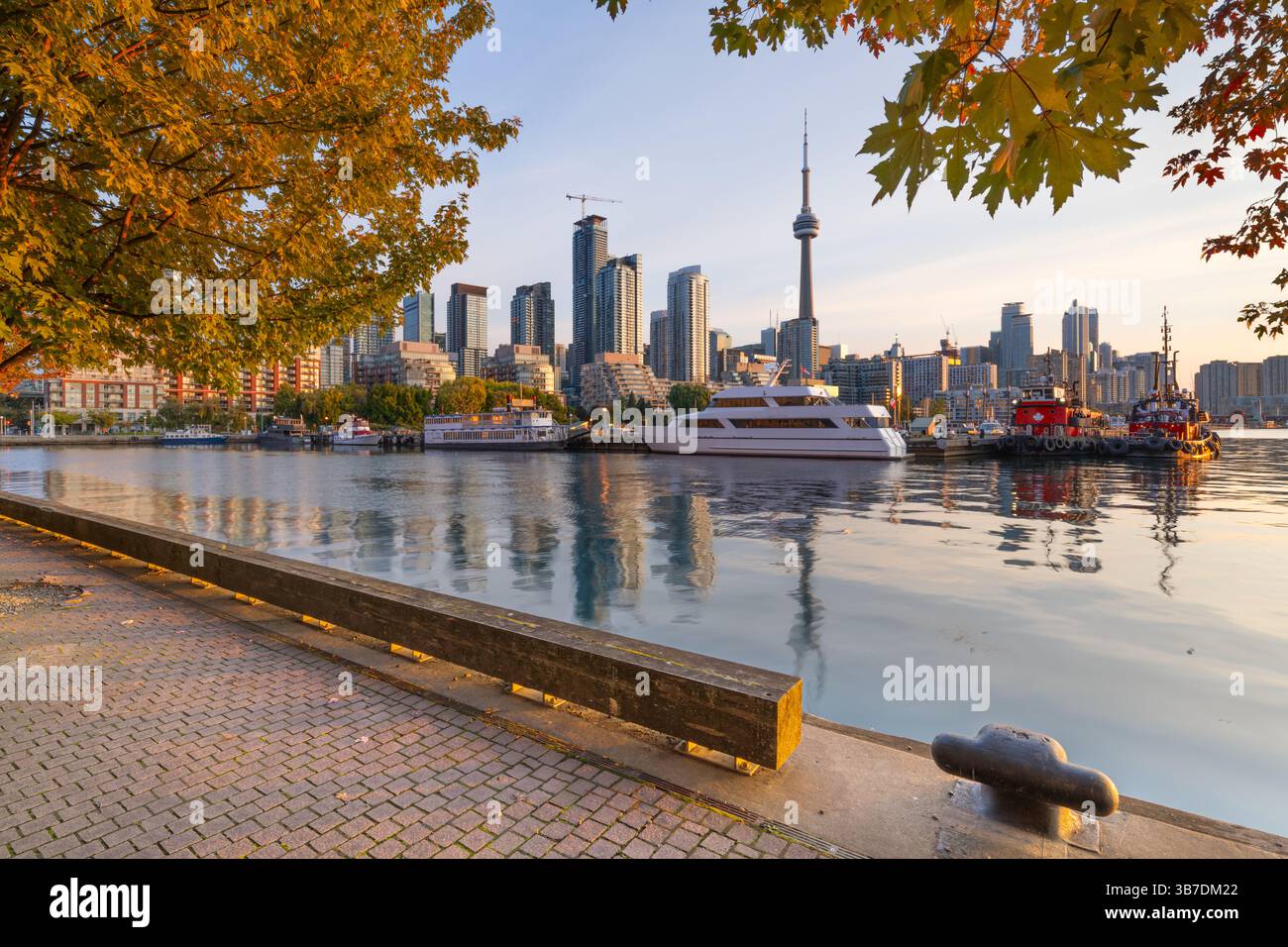 Toronto, Ontario, Canada paysage urbain en automne à l'aube. Banque D'Images
