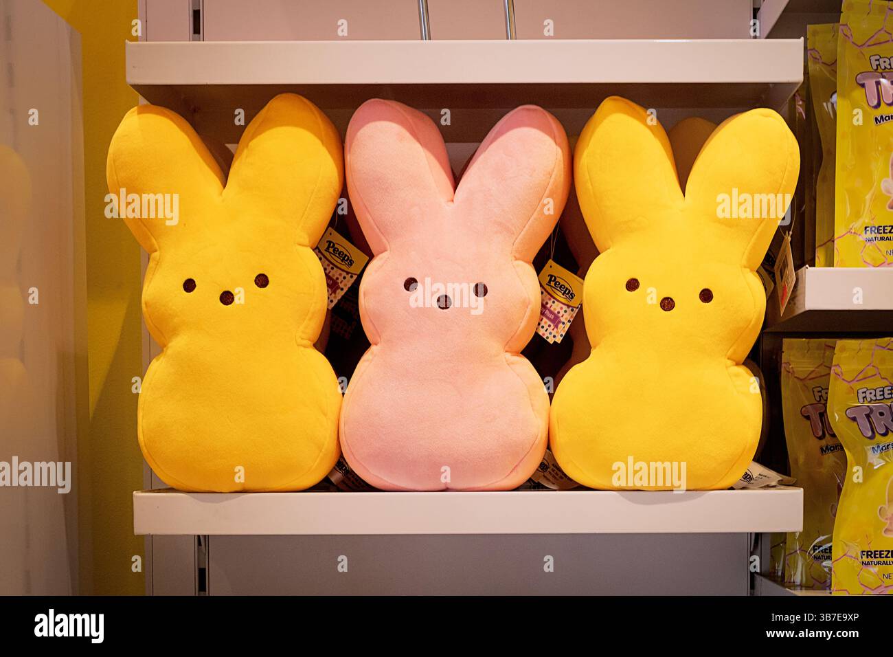 Lapins en peluche Peeps surdimensionnés à vendre à It'Sugar, un magasin de bonbons près du livre dans le centre commercial Tanger Outlets Deer Park à long Island. Banque D'Images