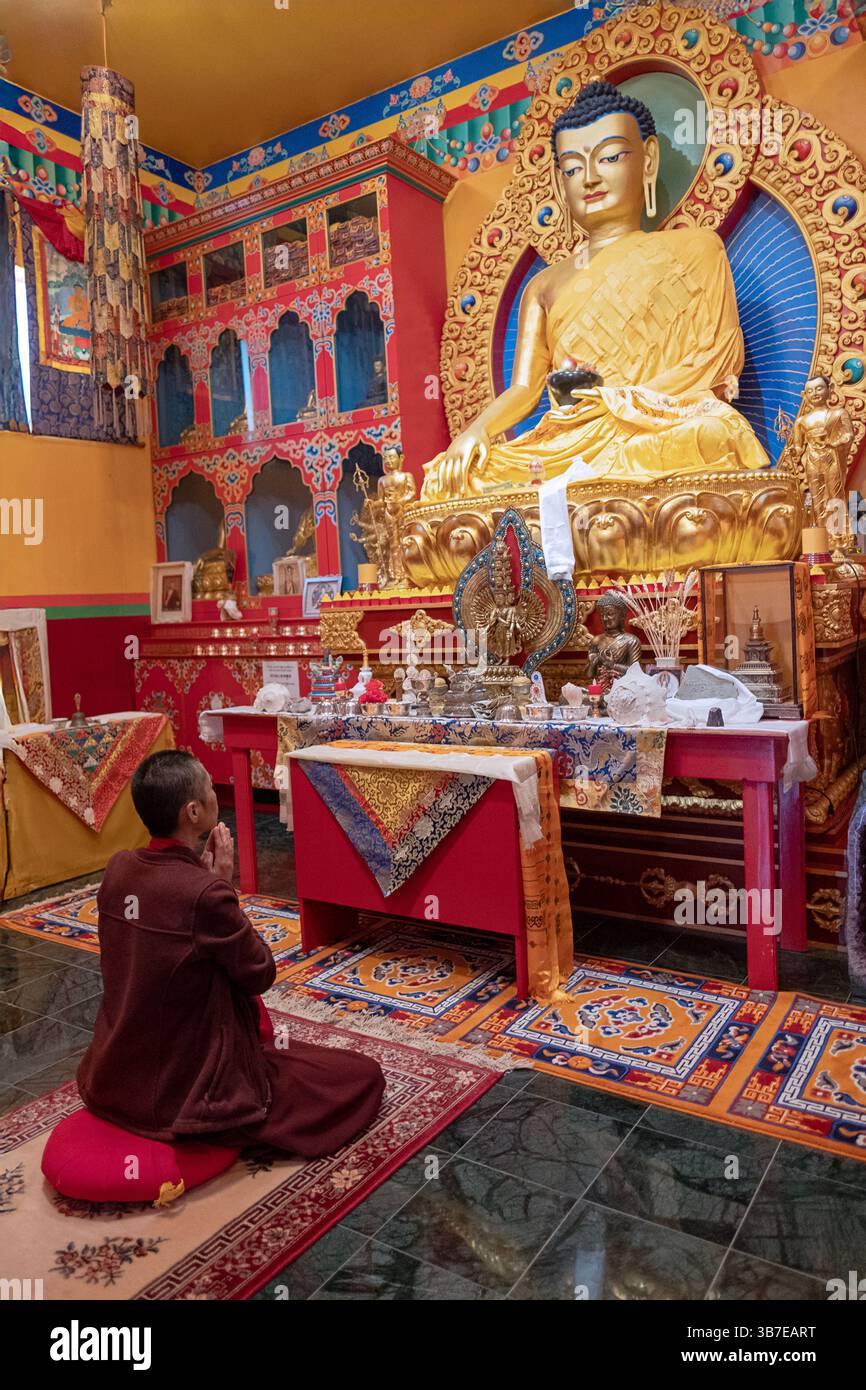 Une religieuse non identifiable médite par une belle statue du Bouddha Meitreya une représentation du futur Bouddha. Dans un temple du comté de Dutchess, NY. Banque D'Images
