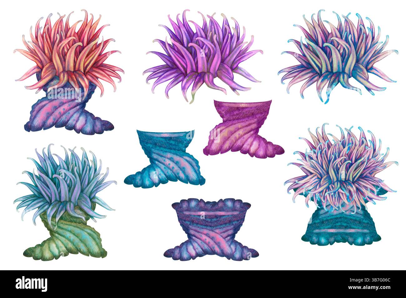 Ensemble d'anémones de mer aquarelle avec des tentacules vert bleu rose sur fond blanc pour la conception marine Banque D'Images