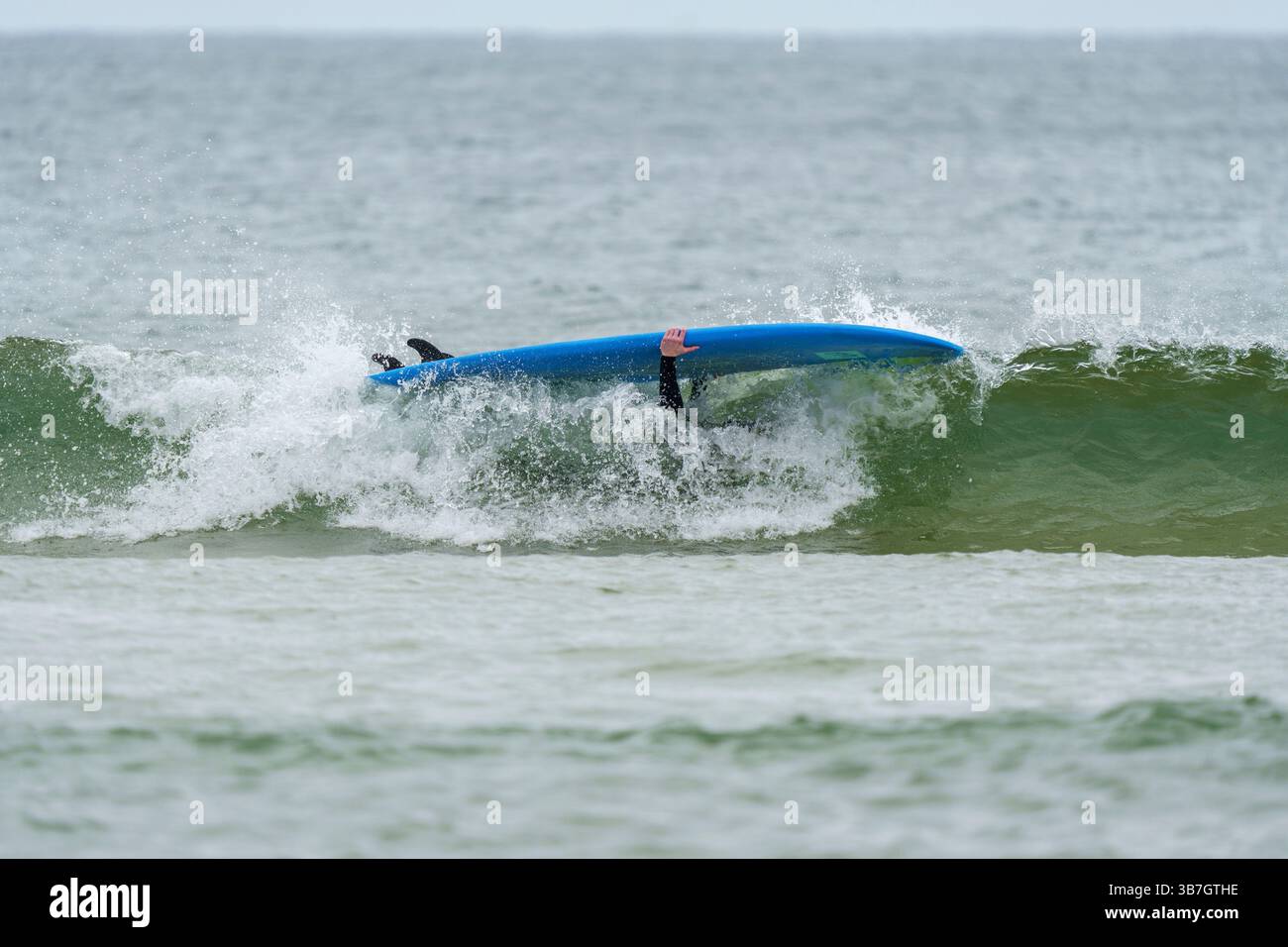 Un surfeur tente de monter une vague sur une grande planche de surf bleue, mais est partiellement submergé lorsque la vague s'écrase dans un cadre marin Banque D'Images