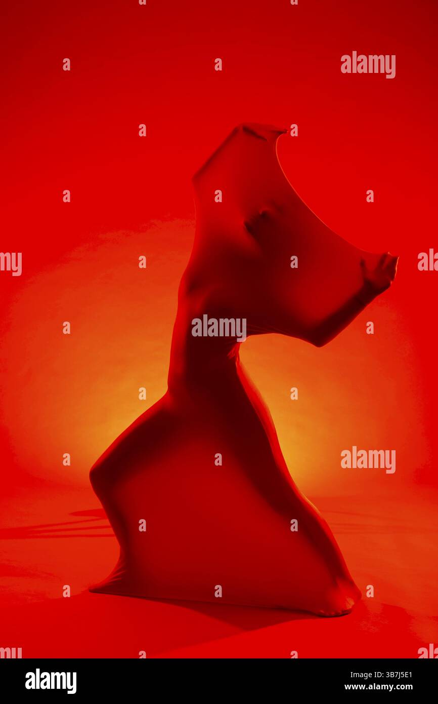 Silhouette abstraite d'une femme en lumière rouge, prise de vue studio, séance photo mise en scène, Mindelheim, Unterallgaeu, Bavière, Allemagne, Europe Banque D'Images