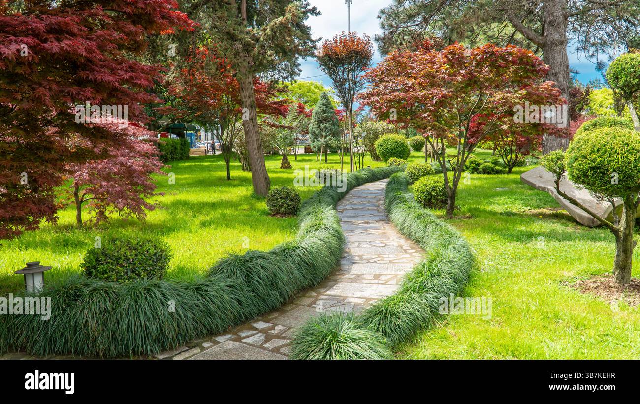 Chemin dans le parc. Buissons et arbres dans le jardin botanique. Aménagement paysager extérieur Banque D'Images