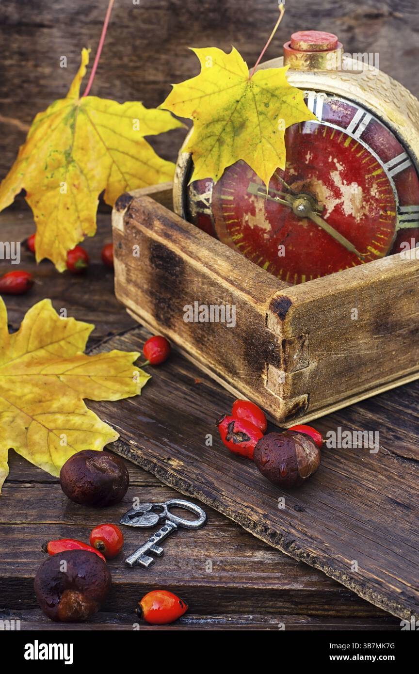 Réveil rétro avec cadran avec chiffres arabes sur fond de feuilles d'érable et de roses sauvages Banque D'Images