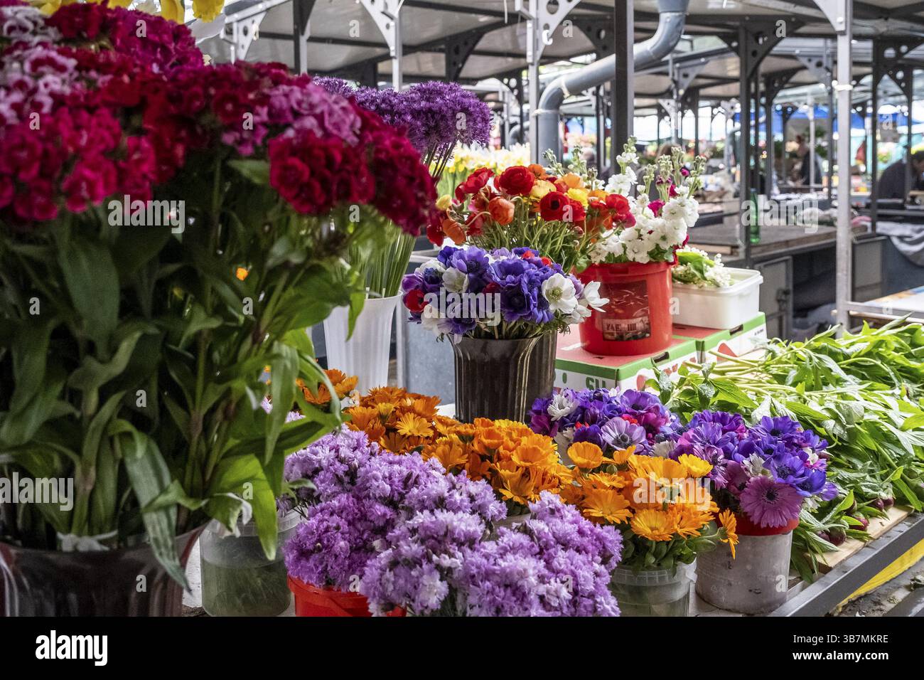 Fleurs colorées dans des seaux à un étal de marché serbe en plein air Banque D'Images