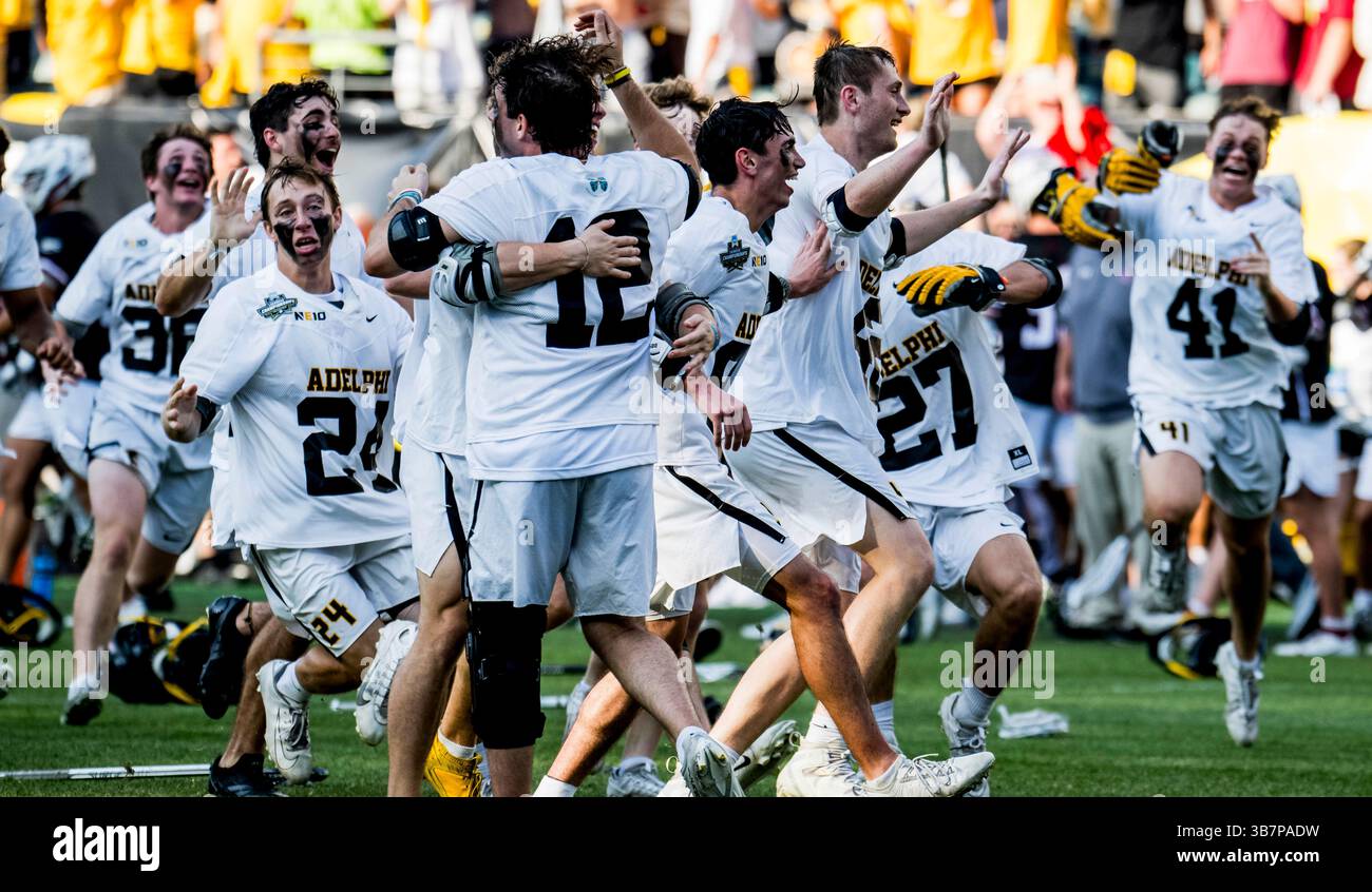 26 mai 2024, Philadelphie, Pennsylvanie, États-Unis : Adelphi célèbre avoir remporté le match de crosse de la NCAA Division II National Championship Lacrosse de Lenoir-Rhyne contre Adelphi au Lincoln Financial Field à Philadelphie, Pennsylvanie, le 26 mai 2024. Adelphi remporte le championnat national 12-10. Scott Serio/Cal Sport Media (crédit image : Banque D'Images