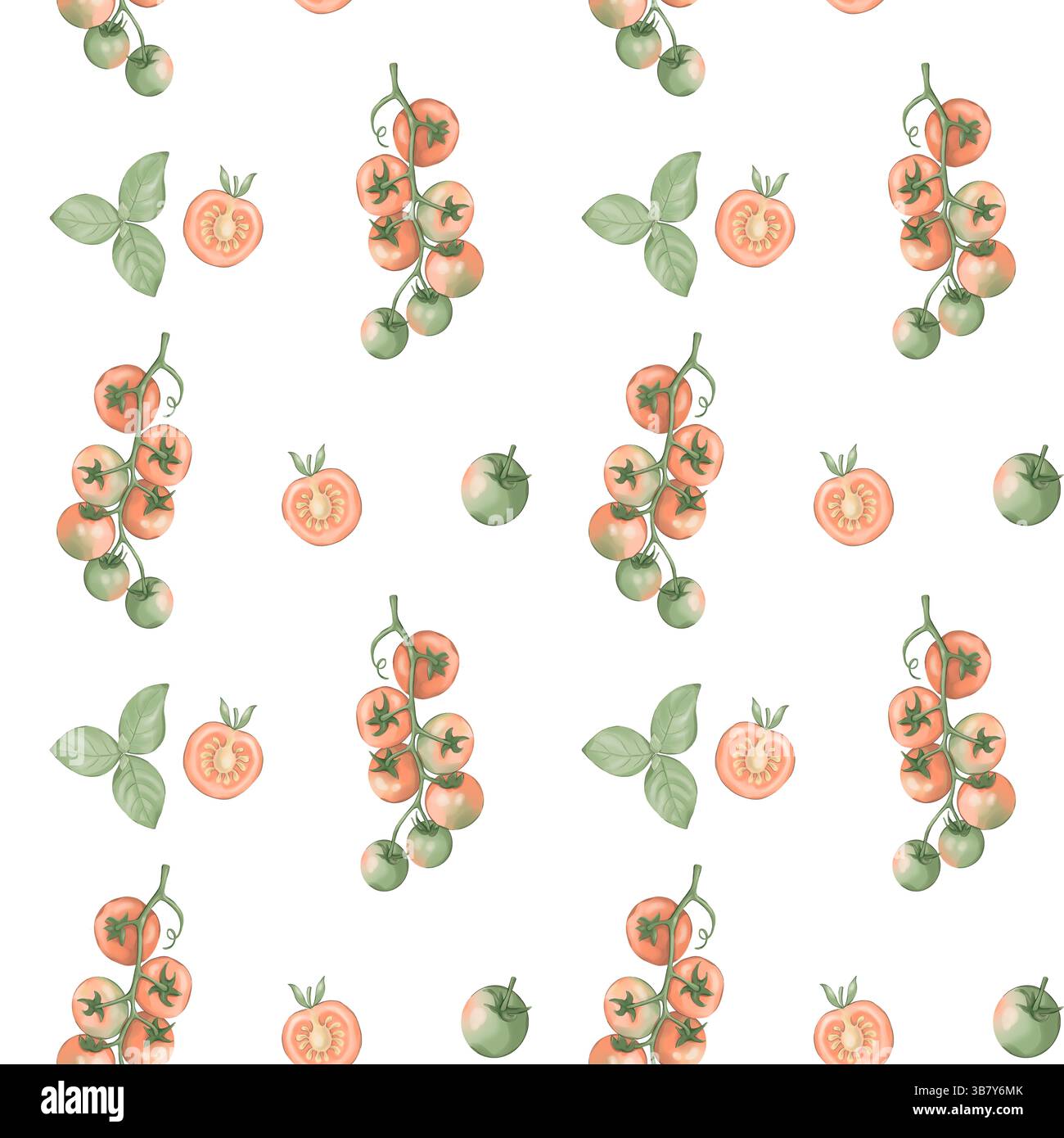 Modèle transparent avec des tomates Banque D'Images