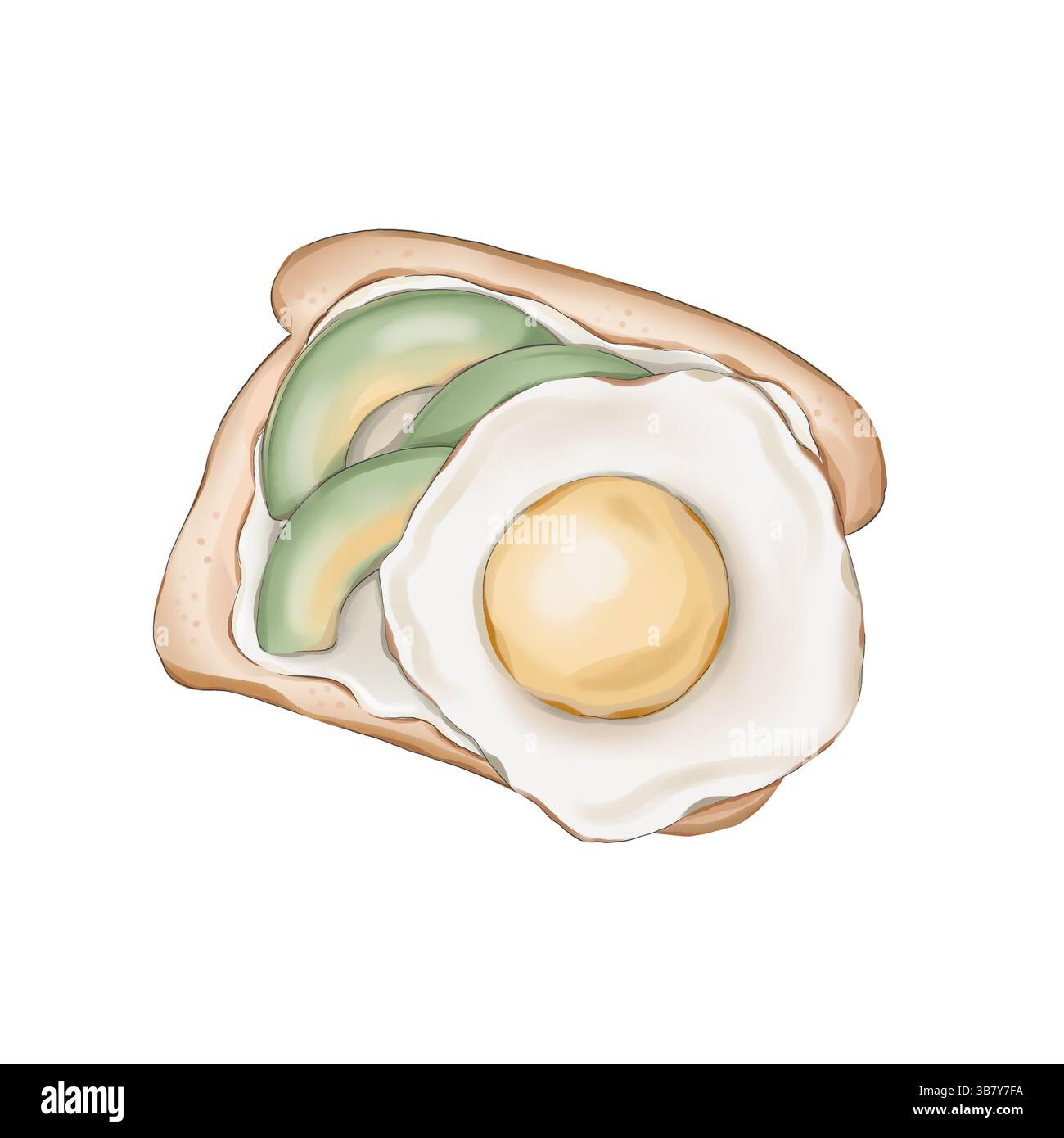 Illustration de nourriture avec pain grillé Banque D'Images