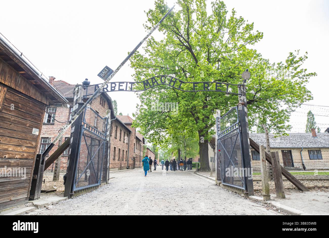(250507) -- CRACOVIE, 7 mai 2025 (Xinhua) -- des gens visitent l'ancien site du camp allemand de concentration et d'extermination nazi d'Auschwitz Birkenau, dans le sud de la Pologne, le 6 mai 2025. Le camp allemand de concentration et d'extermination nazi d'Auschwitz Birkenau a été créé par les nazis allemands en 1940, dans la banlieue de la ville polonaise d'Oswiecim, à 300 km de la capitale Varsovie. Comprenant plus de 40 camps et sous-camps, il était le plus grand des plus de 1 000 camps de concentration construits par le troisième Reich pendant la seconde Guerre mondiale. Au moins 1,1 millions de personnes y ont été tuées. Le camp était libe Banque D'Images