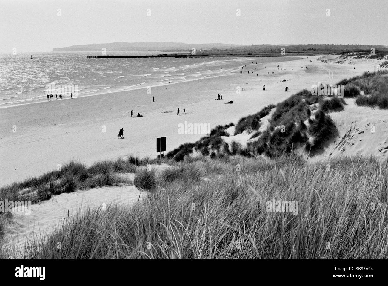 Camber Sands, Camber, East Sussex, Royaume-Uni, vers l'ouest, en monochrome Banque D'Images