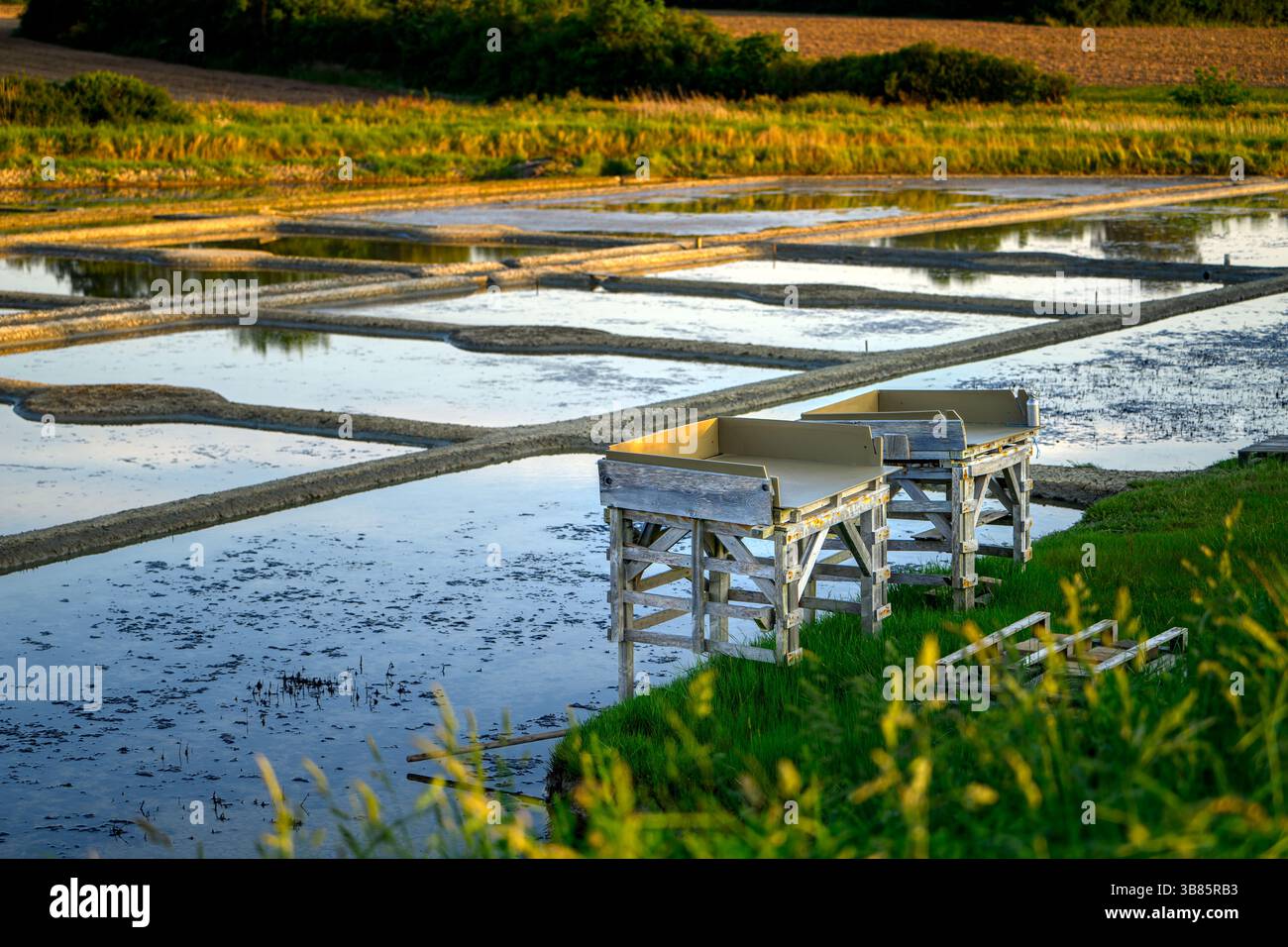 Vue sur les marais salants de Pont-d'armes en Loire-Atlantique. Au premier plan, une table de travail en bois utilisée par les travailleurs du sel pour entretenir manuellement le sel Banque D'Images
