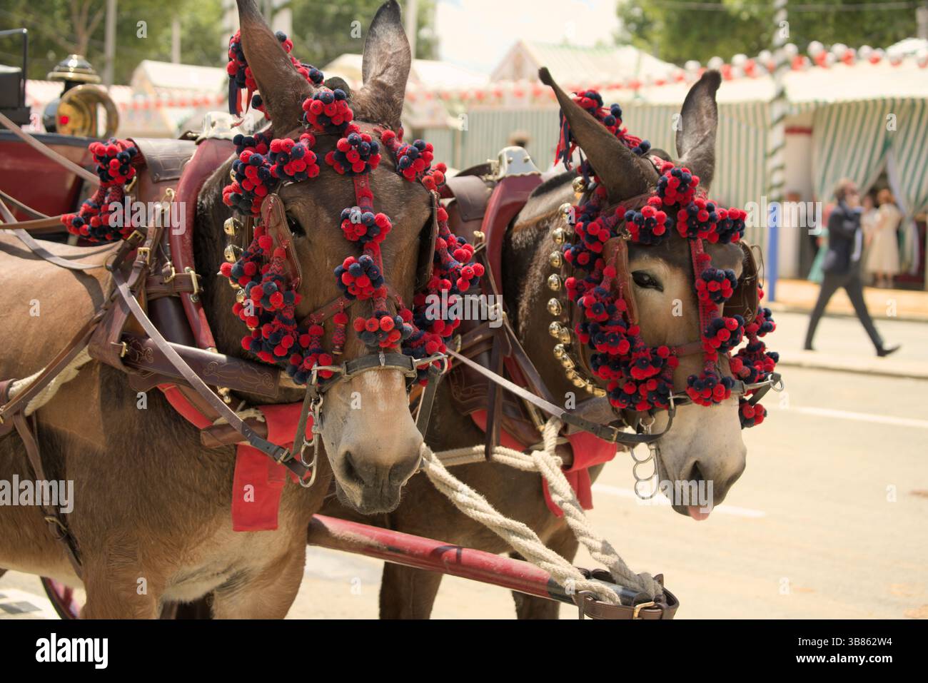 Ânes décorés de pompons rouges et de harnais ornés à la Feria de Abril à Séville, Andalousie, Espagne, pendant la fête du printemps. Banque D'Images