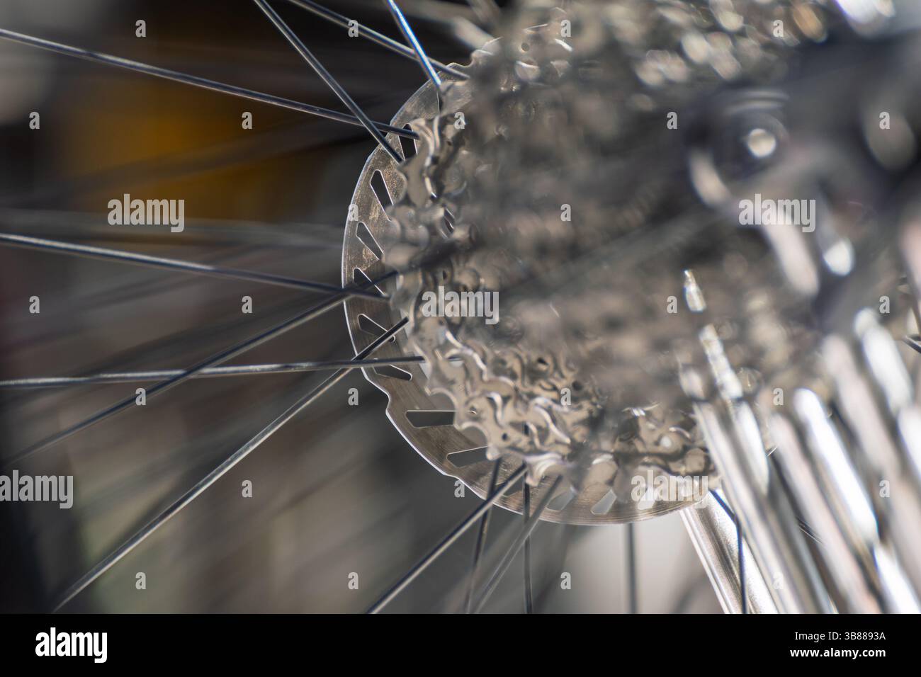 détail des pignons de cassette de vélo et des rayons de roue, mécanique de cyclisme vue rapprochée de la roue arrière de vélo Banque D'Images