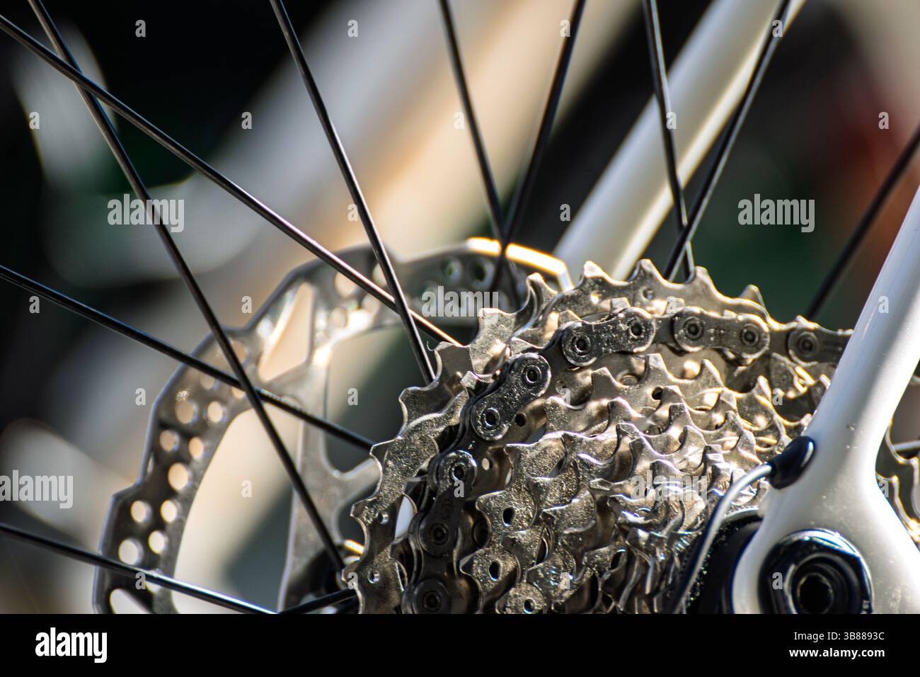 détail des pignons et rayons de roue arrière de vélo, mécanique de cyclisme vue rapprochée de la roue arrière de vélo Banque D'Images