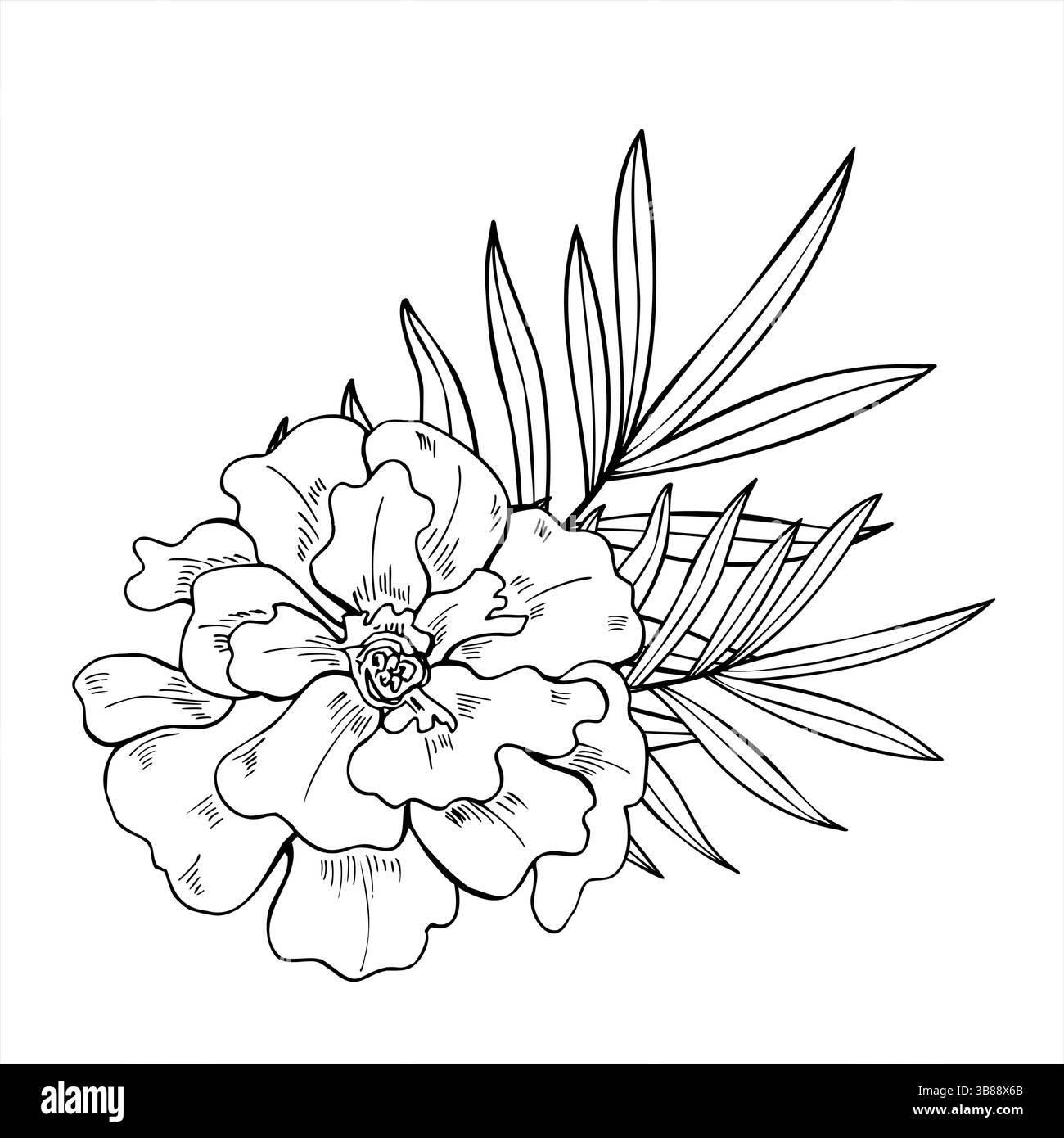 Fleur de souci élégante avec des feuilles de palmier illustration vectorielle monochrome. Vue de dessus. Dessin de gravure de bouquet de fleurs pour dessins botaniques Illustration de Vecteur
