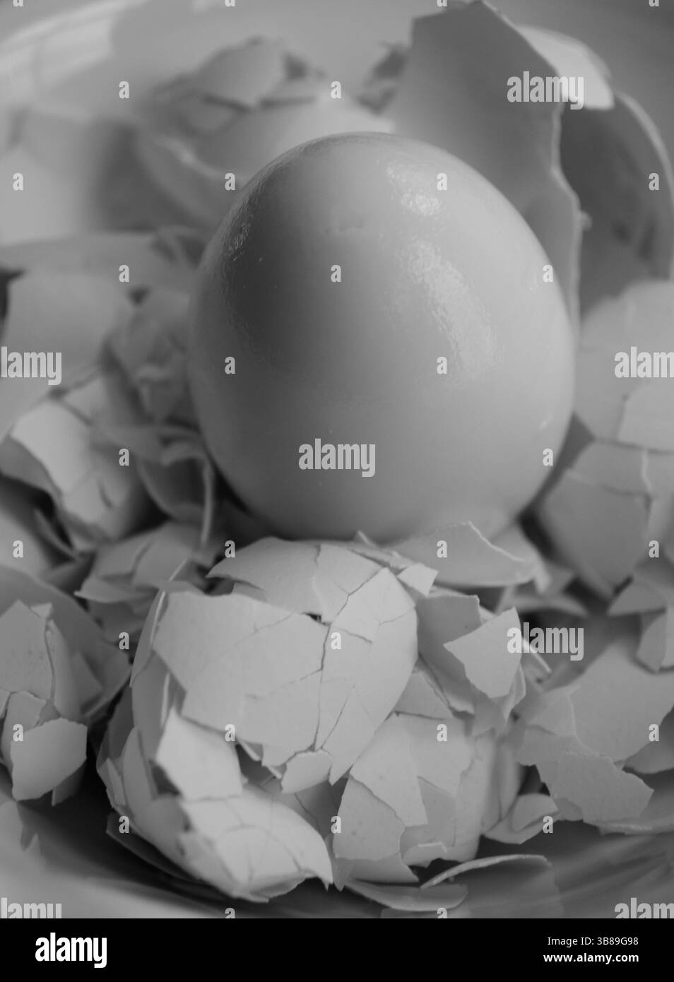 Oeuf dur unique sur les coquilles d'oeufs écrasées Banque D'Images