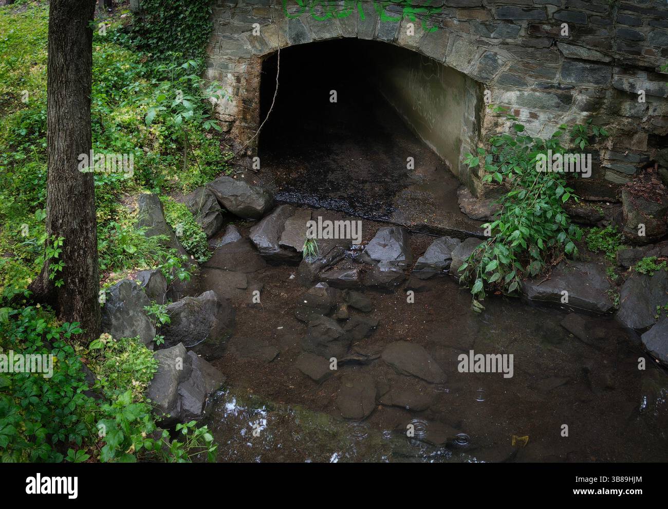 Un tunnel sous une route dans un parc Banque D'Images