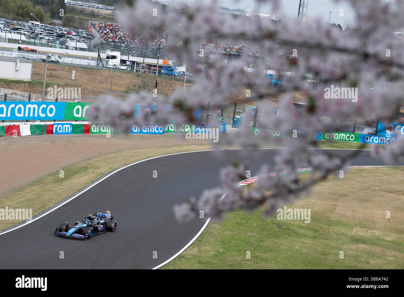 7 avril 2024, Suzuka, Mie, Japon : PIERRE GASLY (FRA) d'Alpine #10 traverse les courbes S devant Sakura Cherry Blossoms au Grand Prix du Japon de formule 1 2024. Max Verstappen remporte la course, Sergio Perez et Carlos Sainz sur le podium. (Crédit image : © Taidgh Barron/ZUMA Press Wire) Banque D'Images