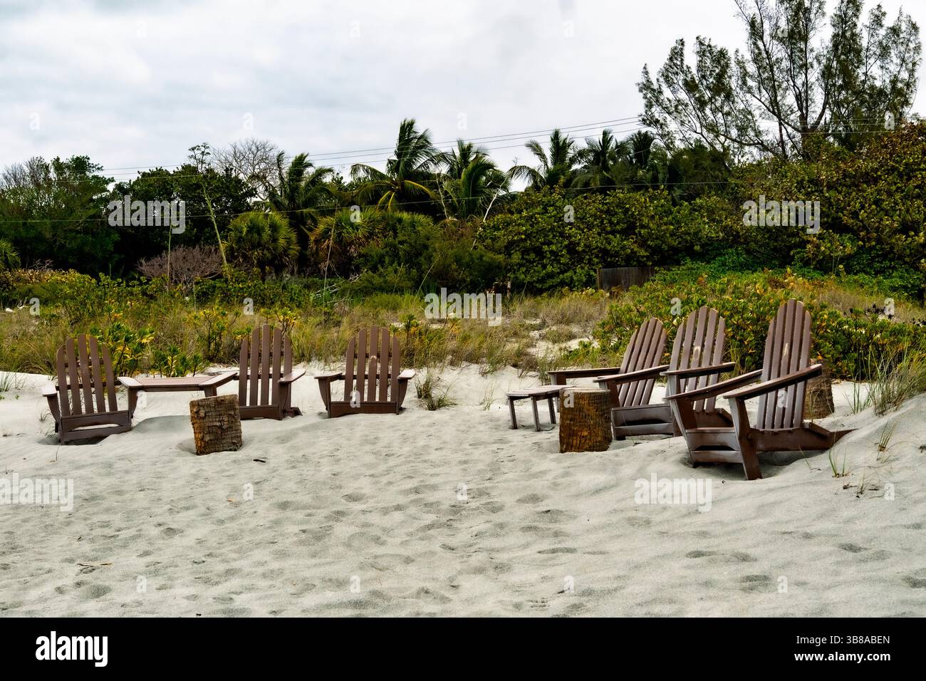 Florda, 6 chaises Adarondack brunes à lattes brunes dans le sable.regarder la vegitation. Banque D'Images