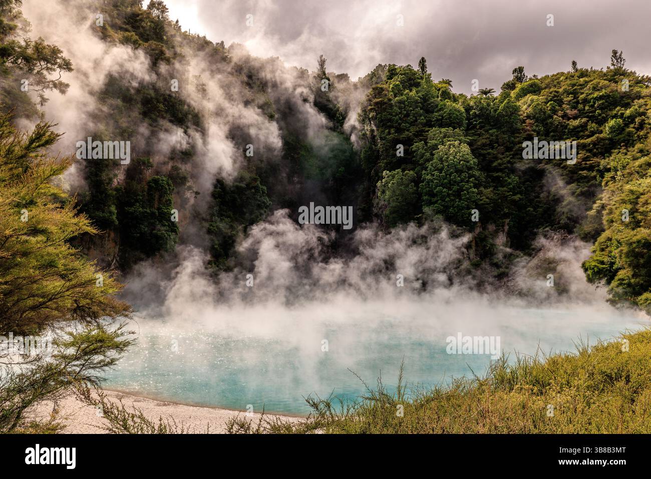paysage du lac de cratère inferno à rotorua avec de la vapeur s'élevant de l'eau bleu pâle dans la végétation verte luxuriante Banque D'Images