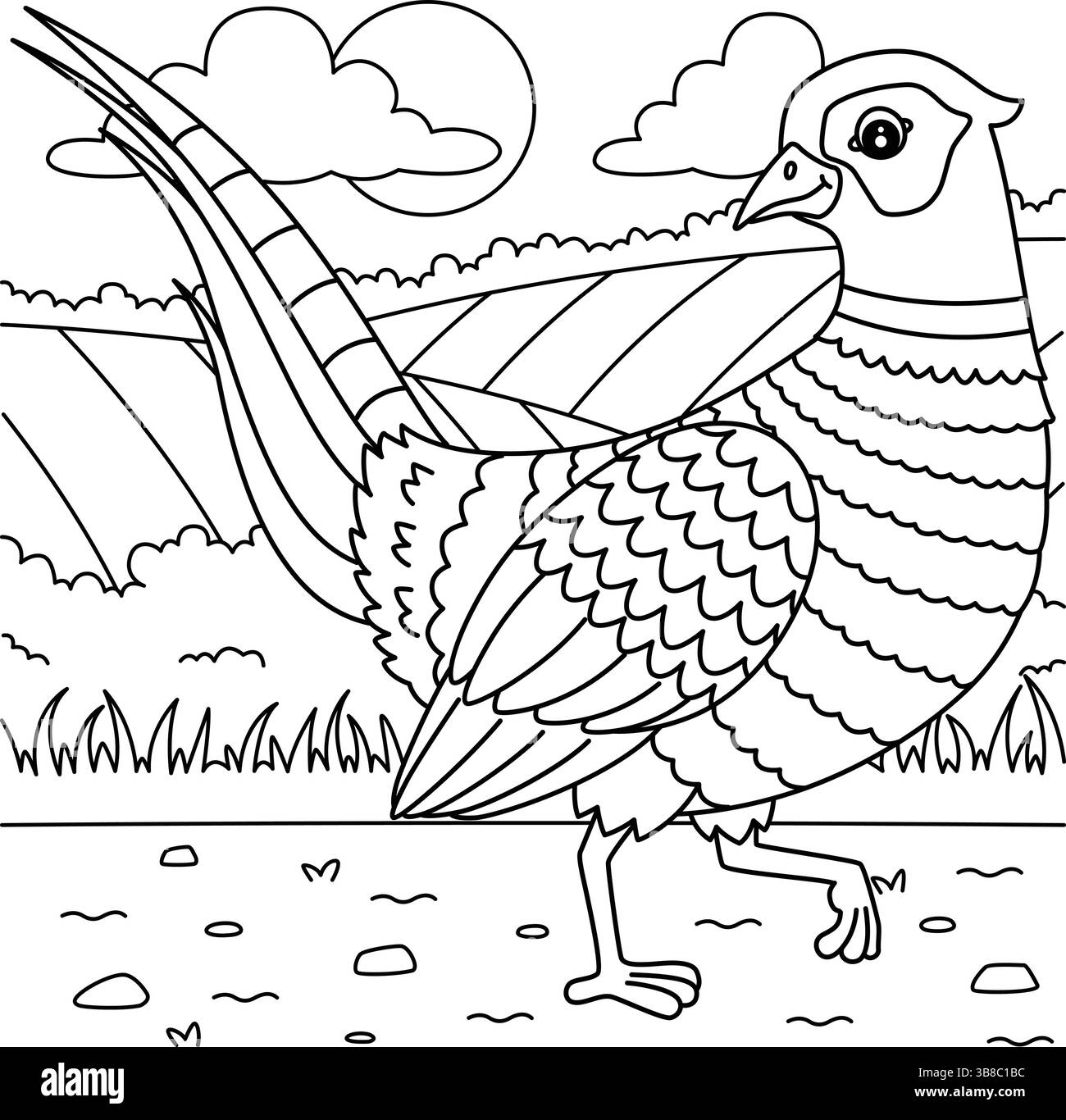 Bird Common Pheasant Coloriage page pour les enfants Illustration de Vecteur