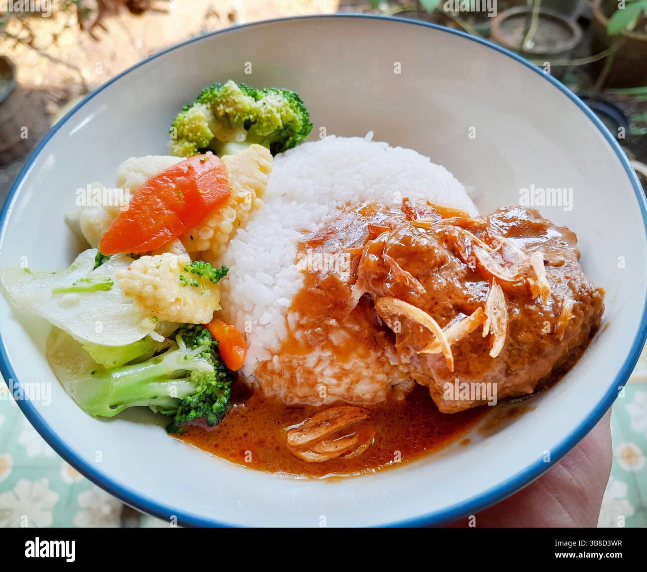 Cuisine indonésienne - Semur et Cap Cay avec riz vapeur. Semur est un ragoût de viande indonésien braisé dans une sauce brune épaisse. Banque D'Images