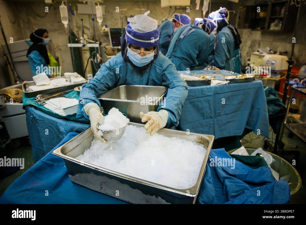 24 novembre 2012, Téhéran, , Iran : le rein de Hasan est en préparation pour une transplantation après don d'organes (crédit image : © Siamak Ebrahimi/ZUMA Press Wire) Banque D'Images 24 novembre 2012, Téhéran, , Iran : le rein de Hasan est en préparation pour une transplantation après don d'organes (crédit image : © Siamak Ebrahimi/ZUMA Press Wire) Banque D'Images