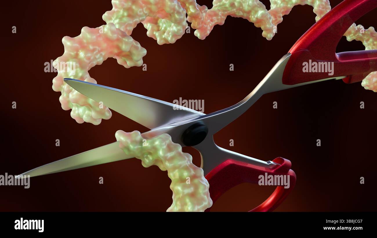 Un rendu 3d de molécule d'ARN et une paire de ciseaux. Le concept de 'ciseaux moléculaires' de découpe précise et de manipulation de biologie moléculaire. Banque D'Images