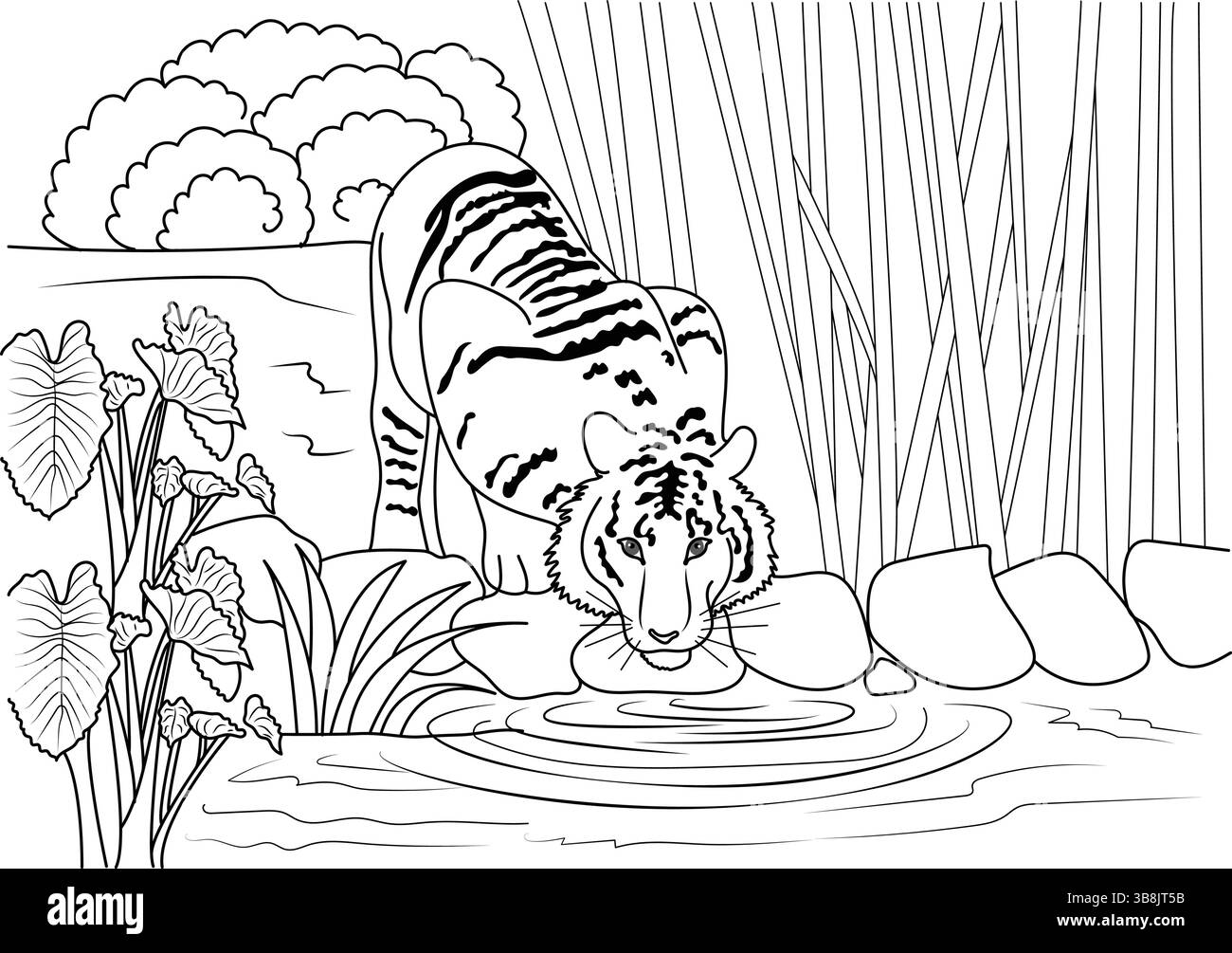Une ligne noire et blanche dessinant l'illustration d'un tigre se penchant vers le bas pour boire de l'eau d'une rivière ou d'un étang dans un environnement naturel. La scène comprend p Illustration de Vecteur
