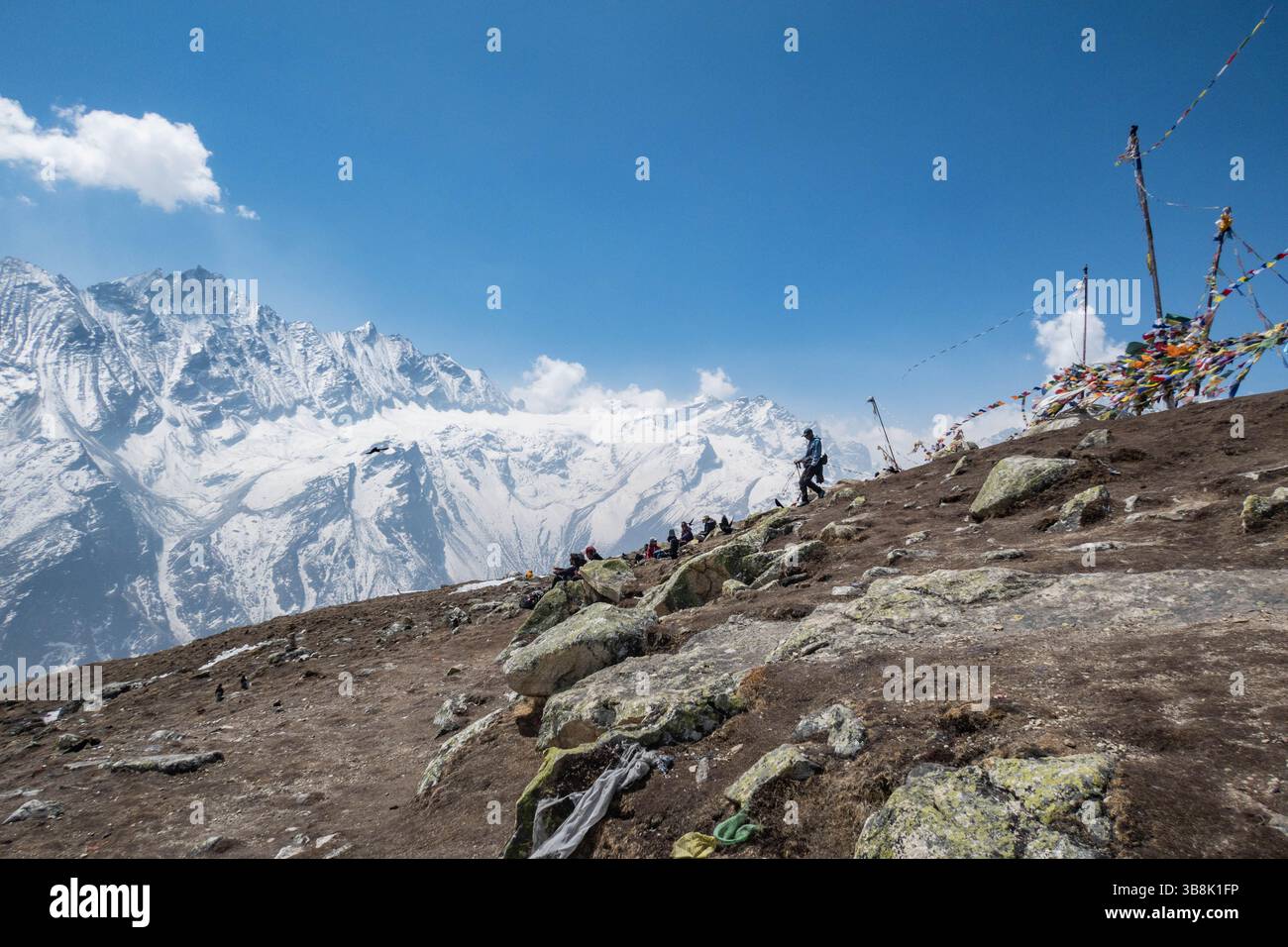 Vue imprenable depuis le sommet de Tsergo Ri, parc national de Langtang, Kyanjin Gompa, Népal Banque D'Images