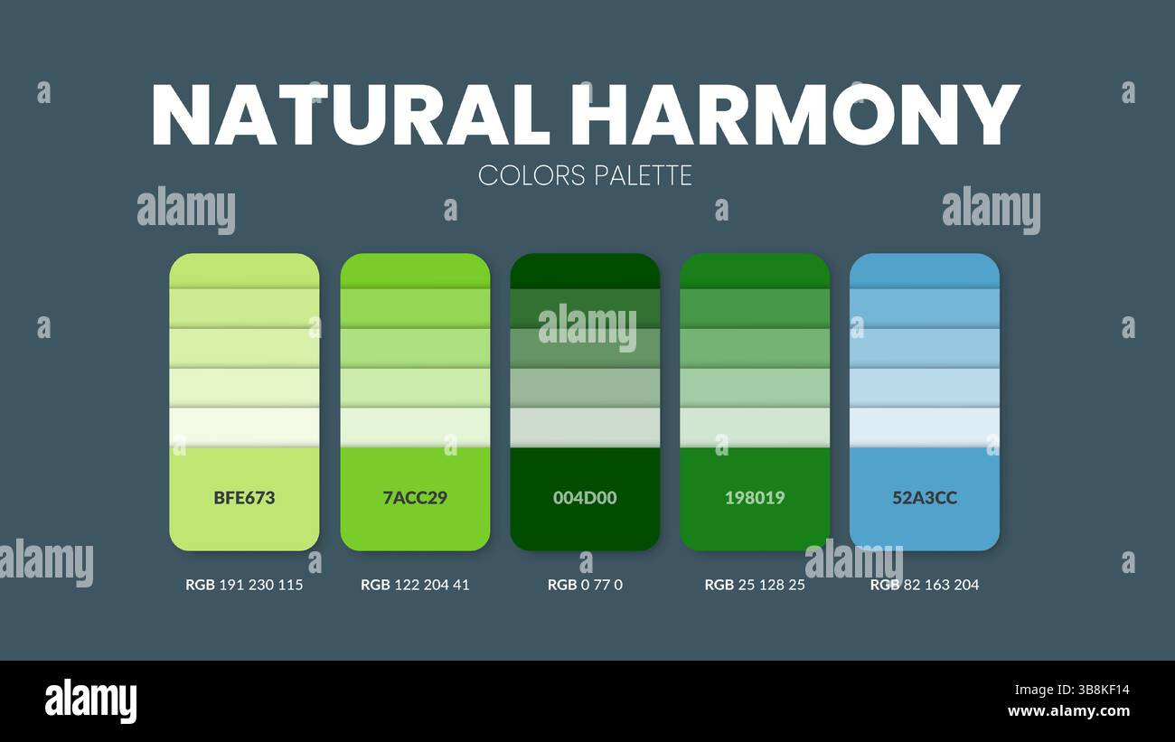 Guide de palette de couleurs dans les collections de thèmes de couleurs Natural Harmony. Inspiration de couleur ou graphique avec modèle de codes. Combinaison de couleurs RVB. Nuance de couleurs Illustration de Vecteur