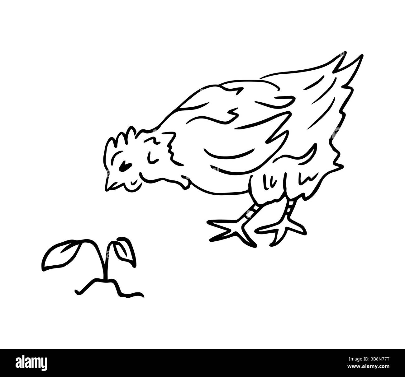 Poulet et fleur maison, dessin vectoriel dans le style doodle. Farm Animals est une illustration monochrome de contour dessinée à la main. Un poulet heureux pour une marque de produits pour la maison. Illustration de Vecteur