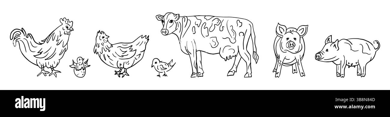 Un ensemble d'animaux de ferme vache, poulet, porcelets, coq. Dans le style des doodles. Produits agricoles naturels porc, viande de volaille. Illustration vectorielle isolée. Illustration de Vecteur