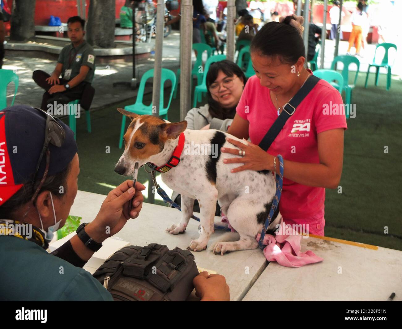 28 septembre 2023, Navotas, Philippines : un propriétaire de chien se moque de son chien après qu'elle l'ait mis à la table du vaccinateur. Dans le cadre de la célébration de la Journée mondiale de la rage, le gouvernement de la ville de Navotas, dirigé par le bureau de l'agriculture de la ville de Navotas, a effectué la vaccination sans chien et chat et l'enregistrement des animaux de compagnie. Ils ont également donné gratuitement de la nourriture pour animaux de compagnie pour ceux qui ont participé au programme. (Crédit image : © Josefiel Rivera/SOPA images via ZUMA Press Wire) Banque D'Images