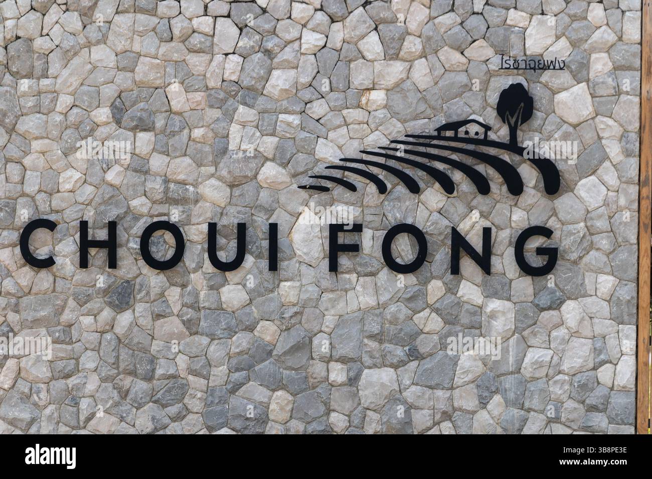 La plantation de thé de Choui Fong dans le nord de la Thaïlande depuis Chiang Rai, est à environ une heure de route. Choui Fong Tea Plantation est ouverte au public et donne Banque D'Images